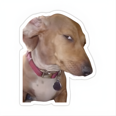 Side Eye Dog Meme Sticker